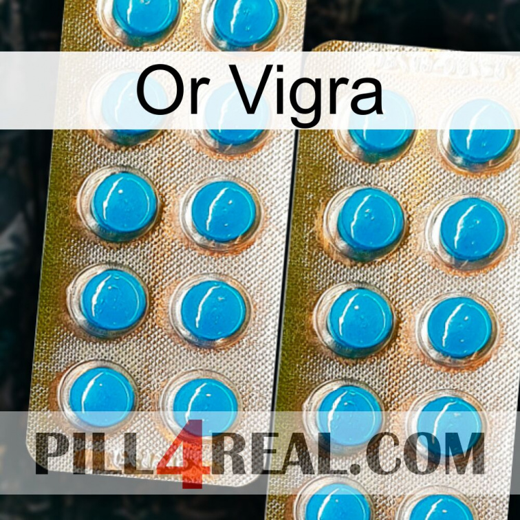 Gold Vigra new08